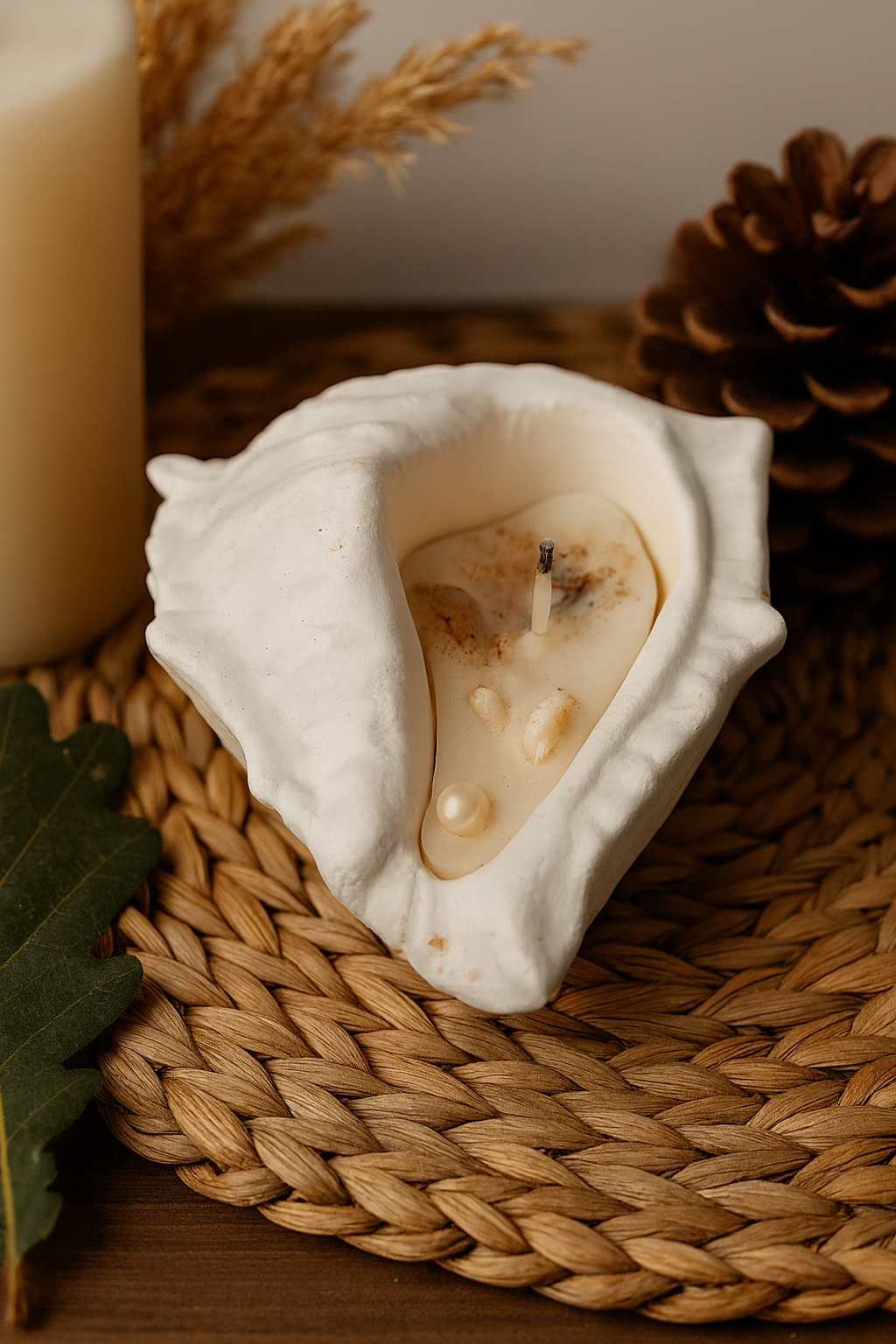 Conch Soy Wax Candle